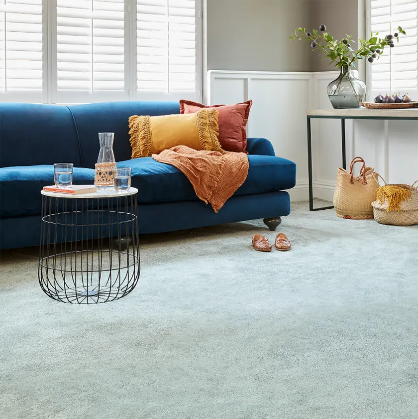 Abingdon Stainfree Sophisticat is a popular polypropylene carpet.